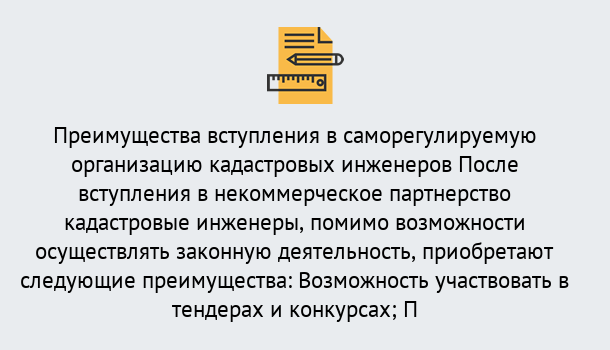 Почему нужно обратиться к нам? Мариинск Что дает допуск СРО кадастровых инженеров?