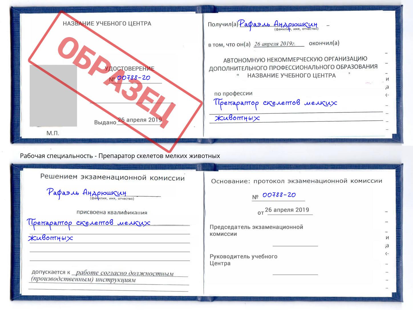 Препаратор скелетов мелких животных Мариинск