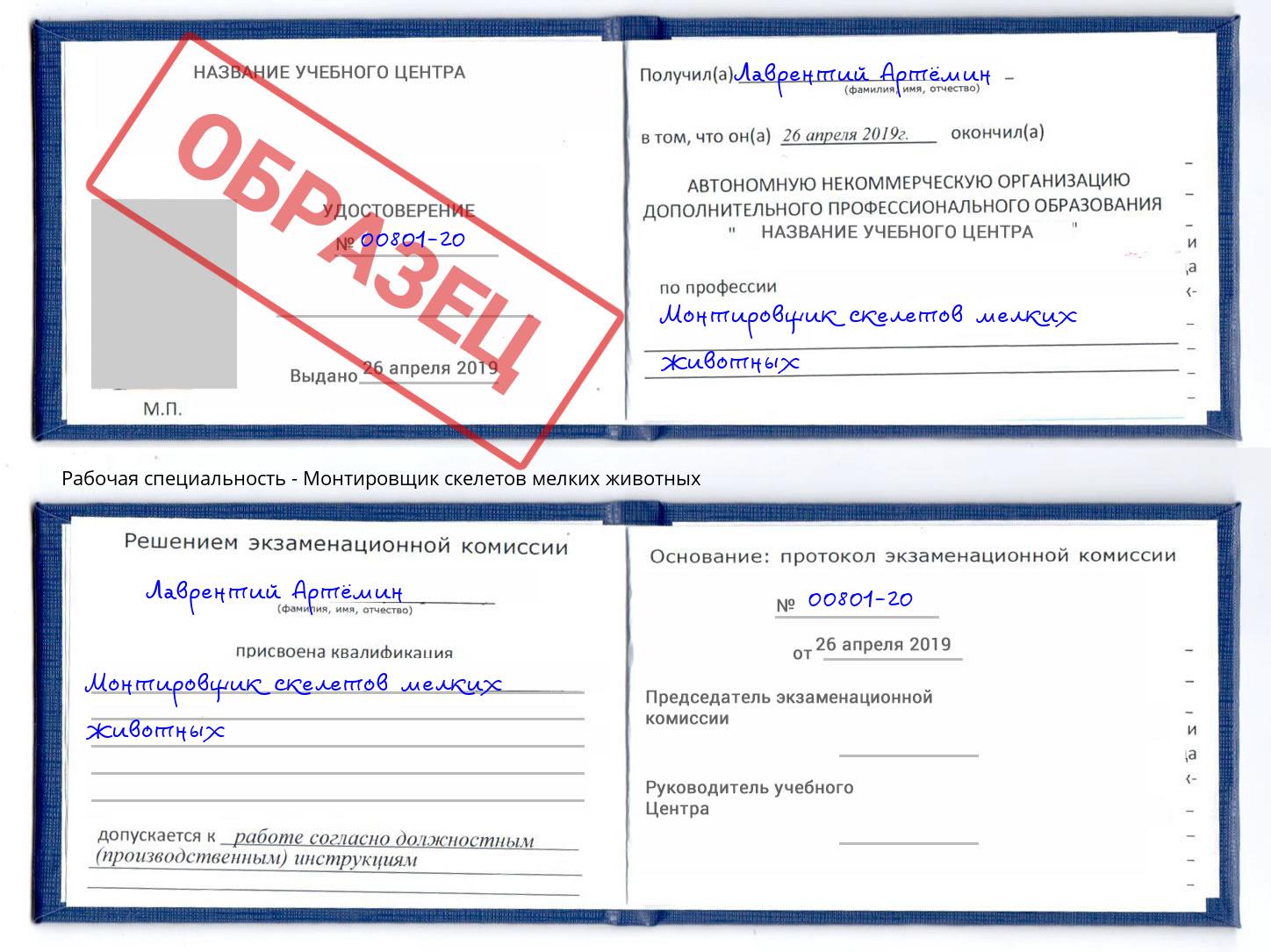 Монтировщик скелетов мелких животных Мариинск