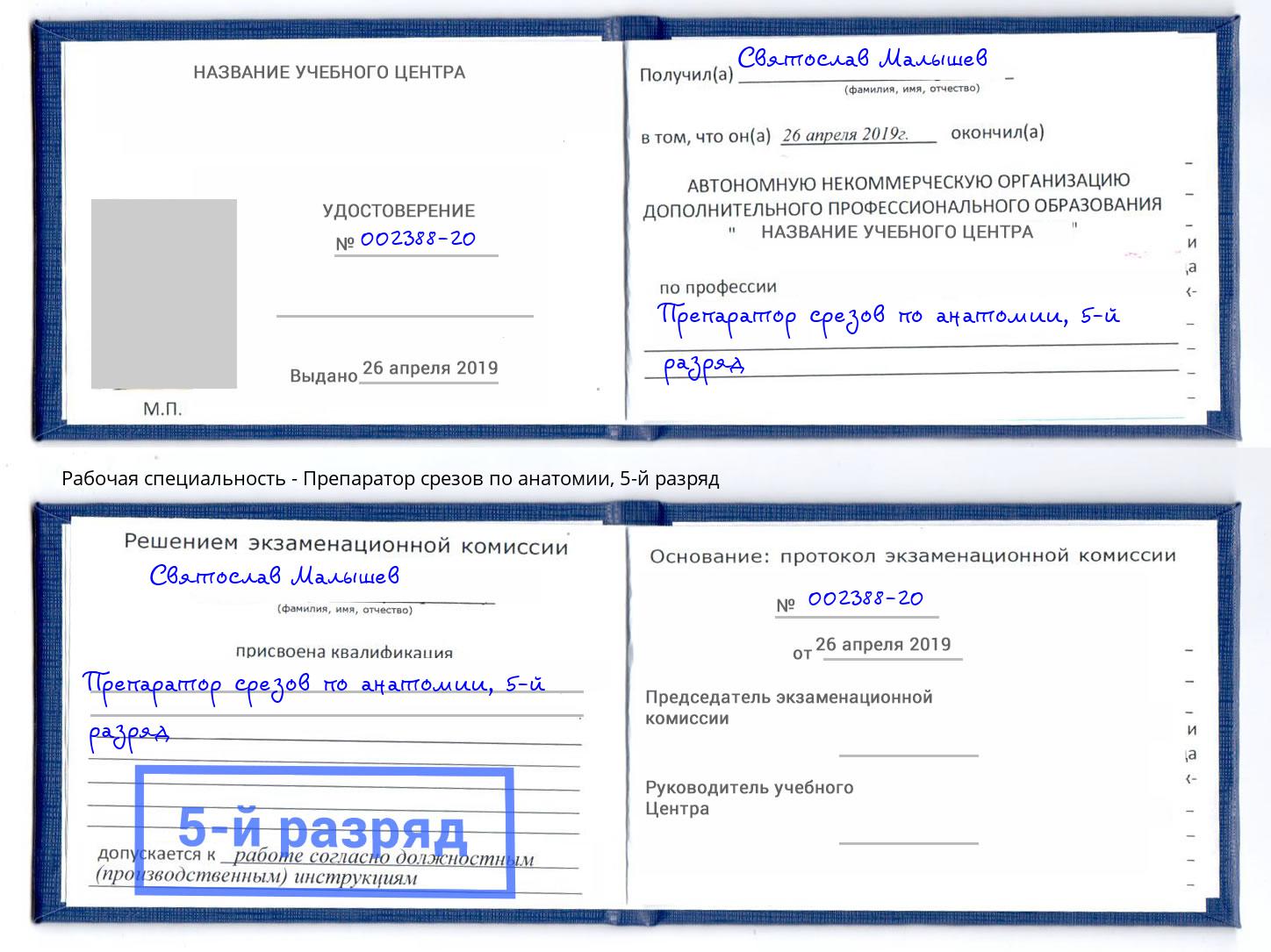 корочка 5-й разряд Препаратор срезов по анатомии Мариинск